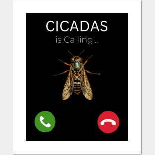 Cicadas Invasion Incoming Call 2024 Posters and Art